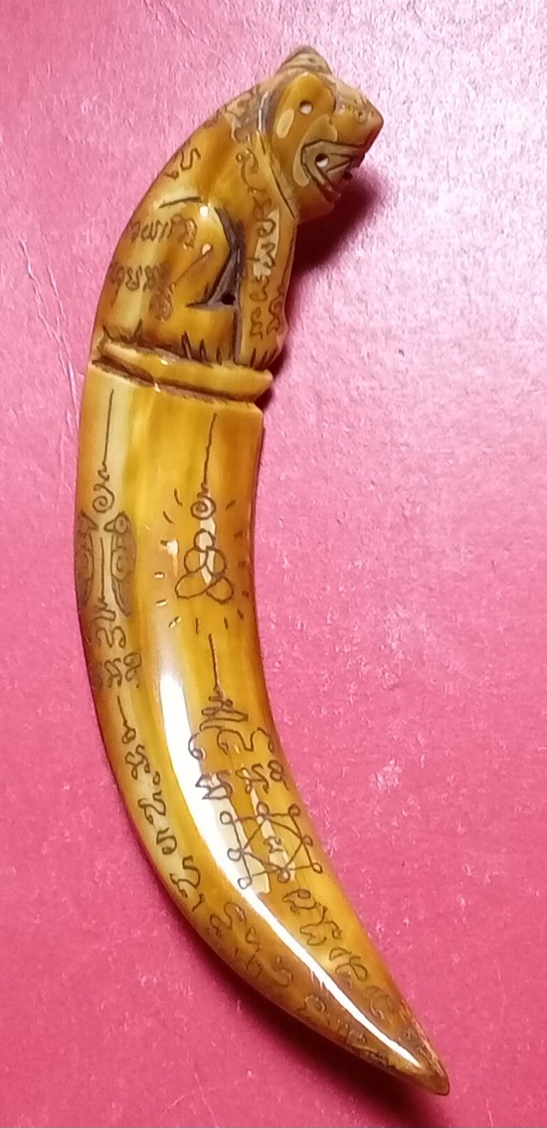 20260220_122542.jpg